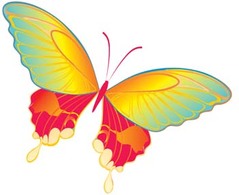 Animals - Butterfly Vector 19 