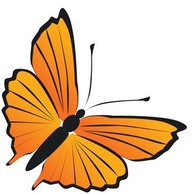 Animals - Butterfly Vector 20 