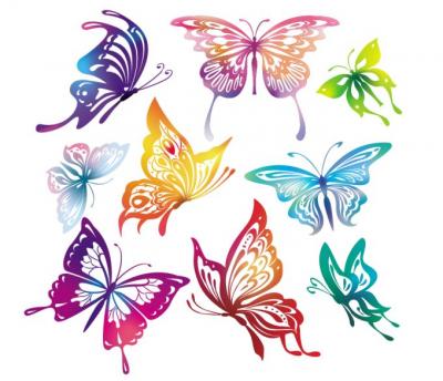 Butterfly Vector