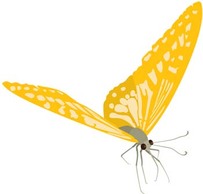 Animals - Butterfly Vector 25 