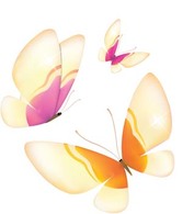 Animals - Butterfly Vector 29 