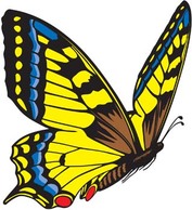 Animals - Butterfly Vector 3 