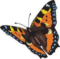 Animals - Butterfly Vector 4 