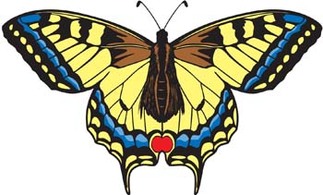 Animals - Butterfly Vector 7 