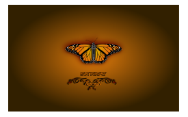 Animals - Butterfly (Wallpaper) 