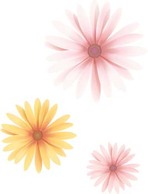 Elements - Button Flower Vector 19 