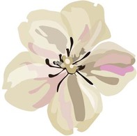 Button Flower Vector 3