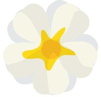 Button Flower Vector 4