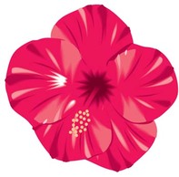 Elements - Button Flower Vector 5 