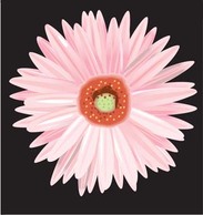 Elements - Button Flower Vector 8 