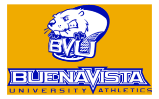 Bvu Beavers 