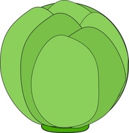 Cabbage clip art