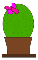 Cactus