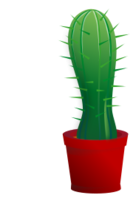 Cactus Preview