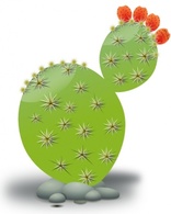 Cactus clip art