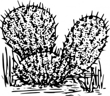 Cactus clip art Preview