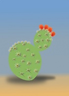 Flowers & Trees - Cactus Plant clip art 