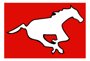 Calgary Stampeders 