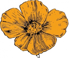 California Poppy clip art