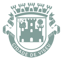 Camara Municipal De Viseu