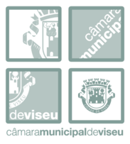 Camara Municipal De Viseu Preview