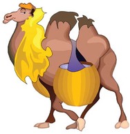 Animals - Camel Vector 10 