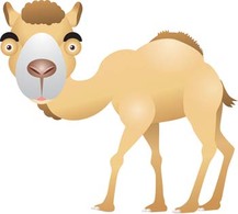 Camel Vector 11