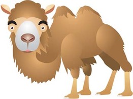 Animals - Camel Vector 12 