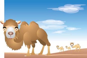 Animals - Camel Vector 13 