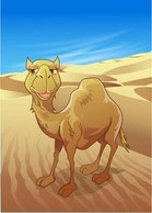 Animals - Camel Vector 14 