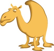 Animals - Camel Vector 2 