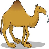 Camel Vector 7