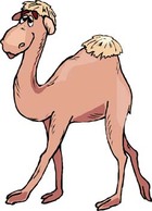 Animals - Camel Vector 9 