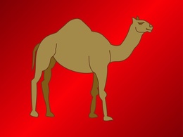 Camel Vector