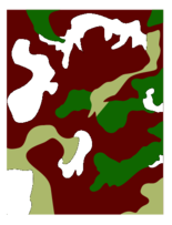 Camo