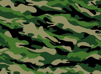 Backgrounds - Camouflage background 