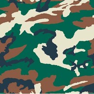 Patterns - Camouflage Pattern 2 