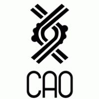 Government - Cao Oaxaca 