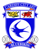 Cardiff City Afc