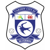 Football - Cardiff City FC 