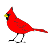 Cardinal Remix 1