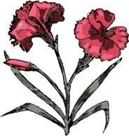 Carnation clip art Preview