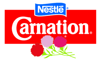 Carnation