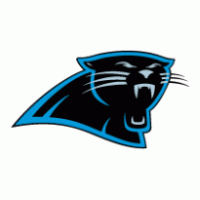 Carolina Panthers Preview