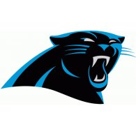 Football - Carolina Panthers 