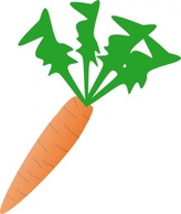 Carrot clip art