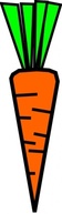 Carrot clip art 