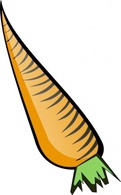 Carrot clip art 