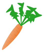 Food - Carrot2 