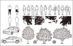 Transportation - Cars, trees, vector 